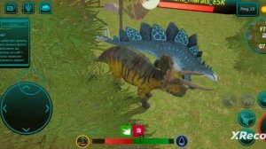 Файт стеги и трайка