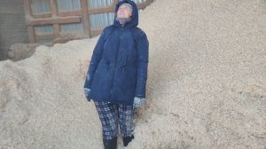 Предпраздничный день. Дождь из опилок. Дневник за 30 декабря