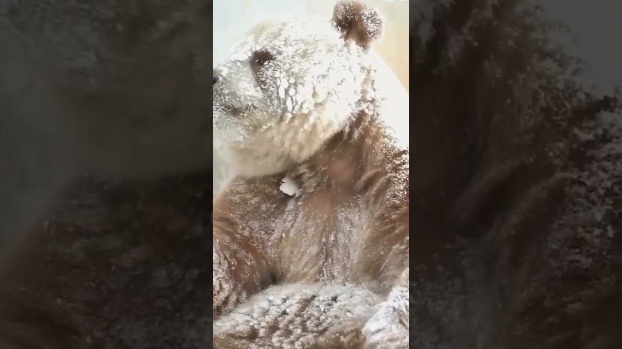 ужасно смотреть онлайн