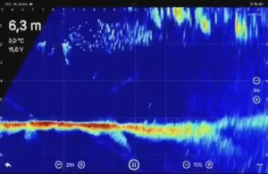 384f315e5ba11f0b2c1ba0ce1754387