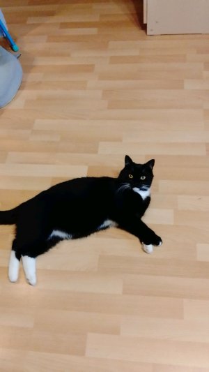 всем снова привет)