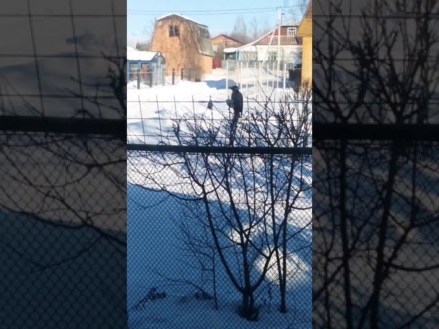 14 февраля 2019 г. смотреть онлайн