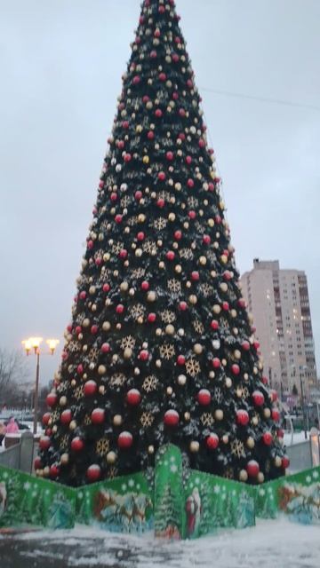 Наша елочка днем! смотреть онлайн