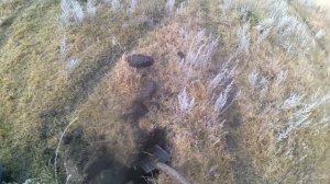 Коп Металлом 08/12/2025г, Финал коп 2025 года, С Наступающим новым годом друзья