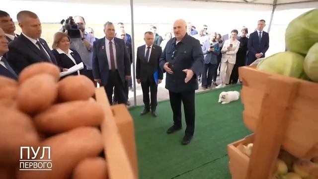 🔥🔥🔥Как Лукашенко морковь чистил и советовал: "Лук н смотреть онлайн