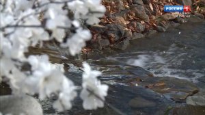 "С Новым годом, друзья!" (на карачаевском языке)