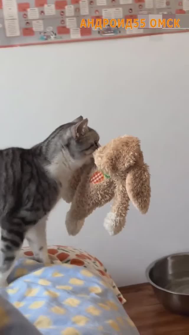 Упал. Встал. Пошел🤣 смотреть онлайн