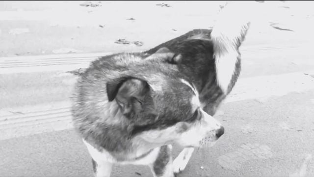 Mateos & Grafezzy - Payment смотреть онлайн