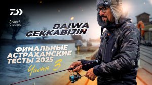 #3 DAIWA GEKKABIJIN x АНДРЕЙ СТАРКОВ x ФИНАЛЬНЫЕ ТЕСТ 2025