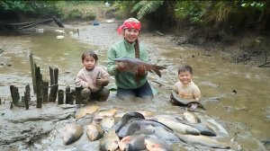 Ловлю гигантскую рыбу для продажи на рынке - уход за цыплятами и утятами. Дуонг