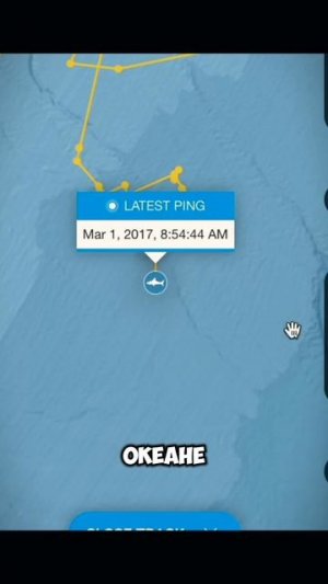 Что если предсказать будущее #лайфхак #мистика #путишествие