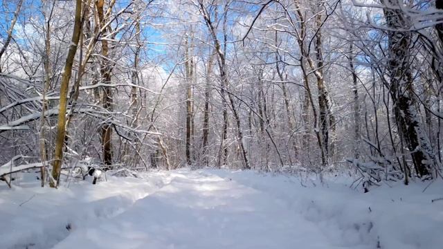 СЕРГЕЙ ВЕСТНИК
Председателя-атеиста хоронили всем селом. Но жена два дня тихо молилась, не веря в см смотреть онлайн