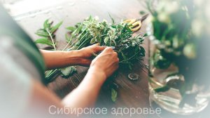 ВЫЛЕЧИЛА СВОЕГО МУЖА ОБЫЧНОЙ ХВОЕЙ