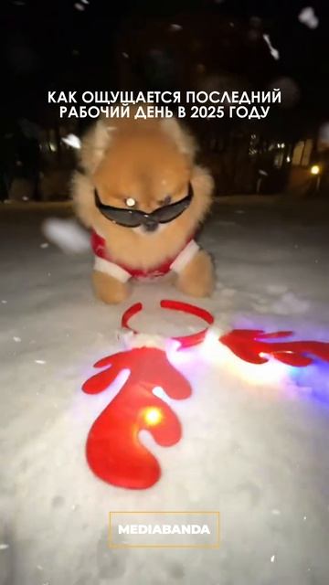 ПОСЛЕДНИЙ РАБОЧИЙ ДЕНЬ #видео #реклама #видеоролик #анимация #съёмка #юмор #видеостудия смотреть онлайн