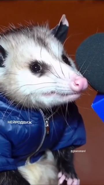 я в конце года смотреть онлайн