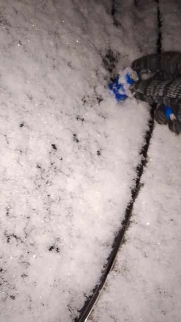 Дворники зимой чистые и не прилипшие к стеклу смотреть онлайн