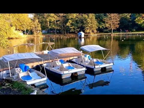 Спасибо сестрёнке - прогуляла меня // Поболтаем обо всём // смотреть онлайн