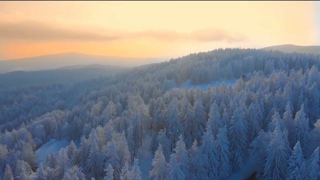 Mateos - Direction смотреть онлайн