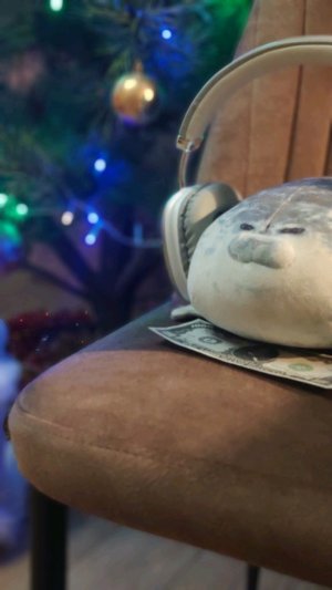 Рубрика с Васей