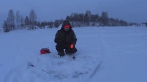 Щука на жерлицы часть 3, новичку на заметку, сезон 2026г.