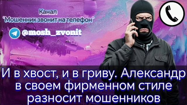 И в хвост, и в гриву. Александр в своем фирменном стиле разносит мошенников смотреть онлайн