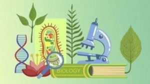 Биология 9 класс. Клеточный центр.