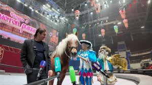 🎤 Пресс-подход Эдгарда Запашного. О чем говорит легенда цирка перед премьерой в Петербурге?