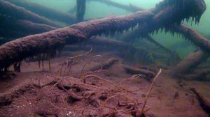 Окунь на окунёвый глаз. Безмотылка