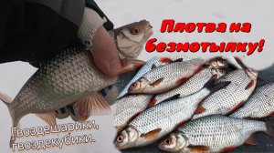 Безмотылка на водохранилище.