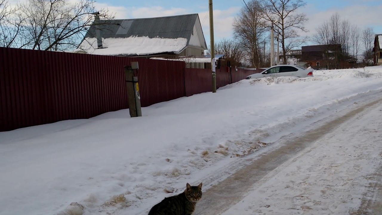 Предвесенний кот смотреть онлайн