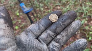 Сегодня прям фартит на золото партии