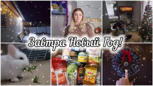 ПРОДУКТЫ НА НОВОГОДНИЙ СТОЛ🎄🍊ДОМАШНИЙ ПРЕДНОВОГОДНИЙ ВЛОГ❄️🐇