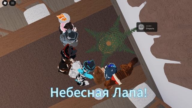 ВИДЕО С ПОДПИСЧИКАМИ НОВЫЙ ГОД!