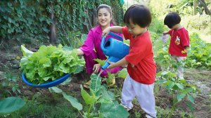 Заготовка и приготовление здоровой пищи для детей. Домашняя кухня Камбоджи