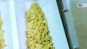 Линия для фасовки и упаковки семечек в дой-пак пакеты MR8-260R