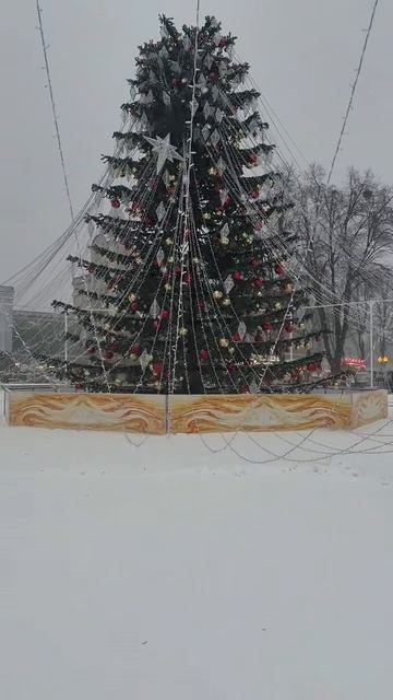 Конец 2025. Главная ёлка города. А как там ваша верхушечка?