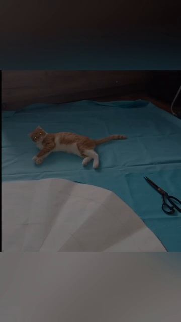 Когда шьёшь лежанку сама.