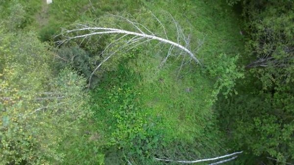 Expecting more from #FPV