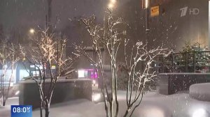 Машины под деревьями, снегопад и ветер: появились кадры обрушения стихии на Сочи.