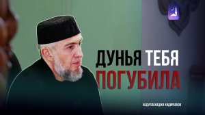 Дунья тебя погубила / Абдуллахаджи Хидирбеков / Фатхуль Ислам