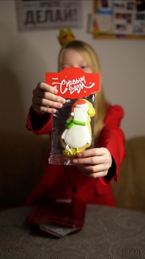 ПОДАРОК ОТ ТАЙНОГО САНТЫ 🎅