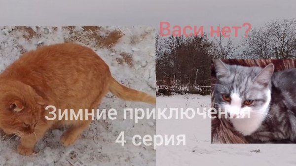 [TREECAT] ПОСЛЕДНИЙ НОВЫЙ ГОД | Зимние приключения | 4 серия | ФИНАЛ.