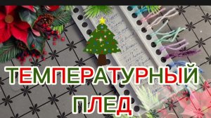 Температурный плед ☃️❄🎄Участник 10 // Отчет 1