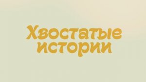 Хвостатые истории SOS Барбос