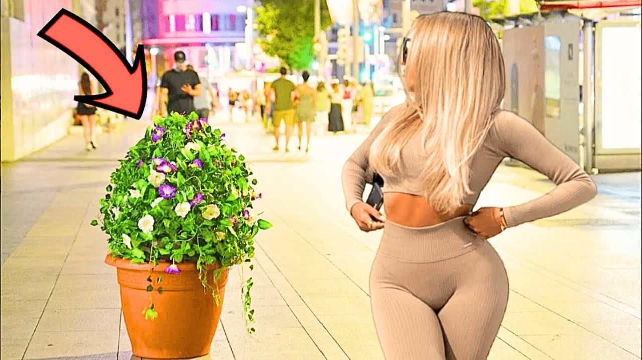 Они Взбесились Еще До Того, Как Я Пошевелился 😭🌿 смотреть онлайн