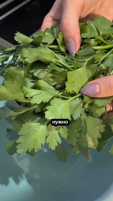 Как сохранить зелень после покупки