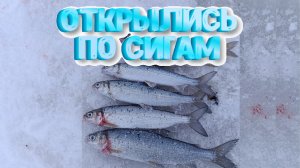 Рыбалка под Северодвинском (Хвосты)