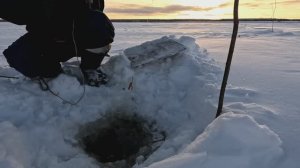 Проверка удочек.27 день. Язь на силикон.