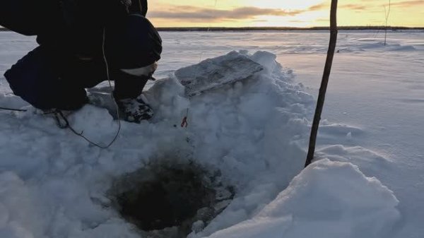 Проверка удочек.27 день. Язь на силикон.