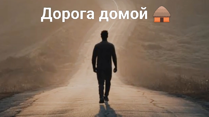 Дорога домой